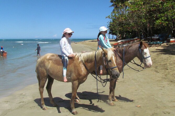 Beach Horseback Ride Tour in Puerto Plata - Scenic & Fun for All - A relaxed stop at the beach bar