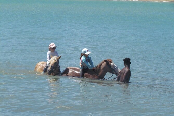 Beach Horseback Ride Tour in Puerto Plata - Scenic & Fun for All - What the private format really means