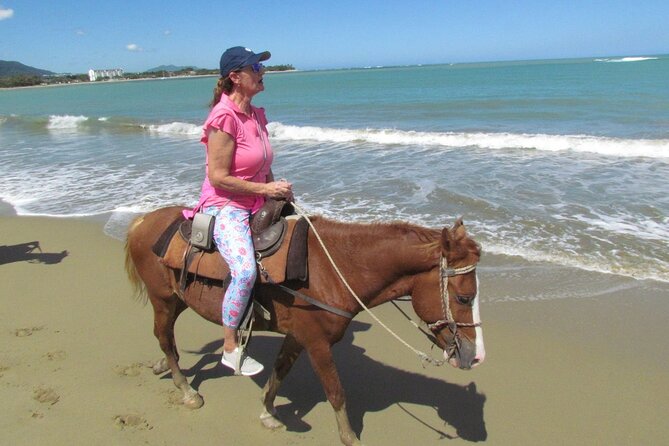Beach Horseback Ride Tour in Puerto Plata - Scenic & Fun for All - Horse condition, safety, and comfort
