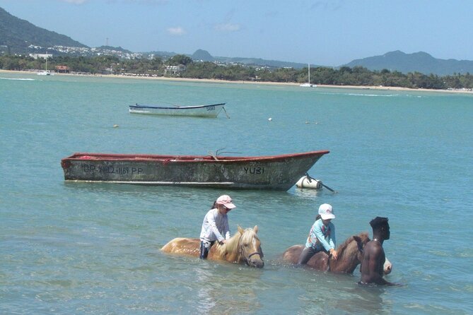 Beach Horseback Ride Tour in Puerto Plata - Scenic & Fun for All - Who should book this ride?