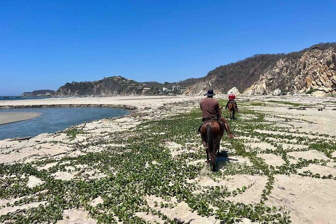 Beach Horseback Riding Adventure in Copalita, Huatulco - Why the horses matter here
