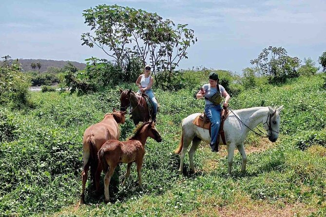 Beach Horseback Riding Adventure in Copalita, Huatulco - What the scenery feels like on the route