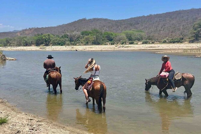 Beach Horseback Riding Adventure in Copalita, Huatulco - Who should book this Copalita ride?