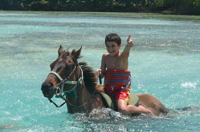 Beach Horseback Riding and Dunn’s River Falls - Timing, pickup, and private-tour value