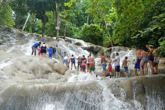 Beach Horseback Riding and Dunn’s River Falls - My verdict on the $188 price
