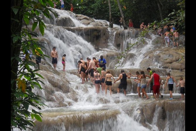Beach Horseback Riding and Dunn’s River Falls - Starting at Hooves for a beach ride