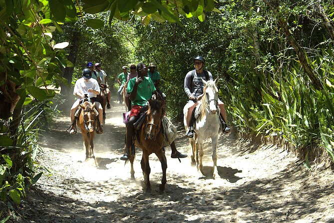 Beach Horseback Riding and Swim Horse in Puerto Plata - Why beginners may feel comfortable here