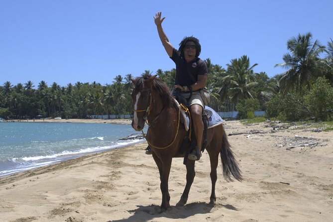Beach Horseback Riding and Swim Horse in Puerto Plata - Who should book this Puerto Plata ride