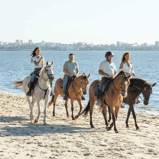 Beach Horseback Riding in GROUP + Photo Report - PDT - Arriving at Pátio do Tejo