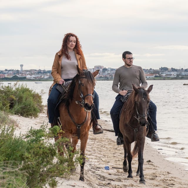 Beach Horseback Riding in GROUP + Photo Report - PDT - Coffee, photos, and the farm shop