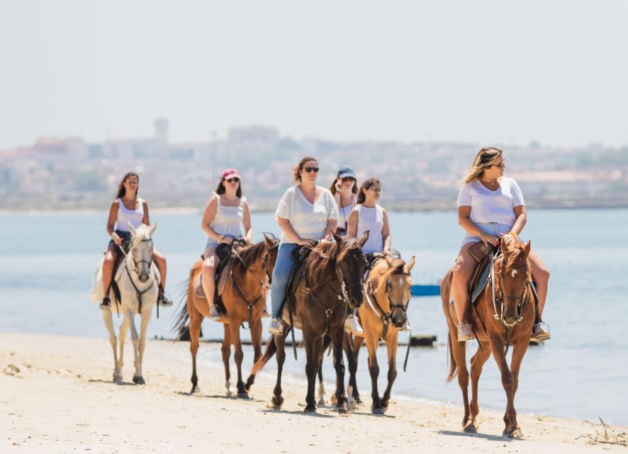 Beach Horseback Riding in GROUP + Photo Report - PDT - Is $188 a fair price?