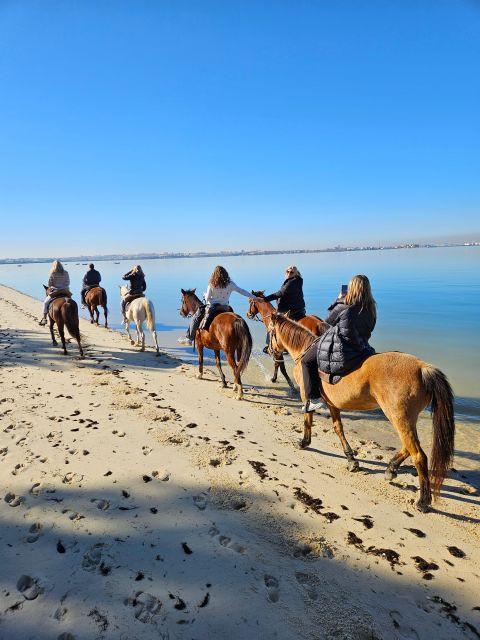 Beach Horseback Riding in GROUP + Photo Report - PDT - Who should book this ride?