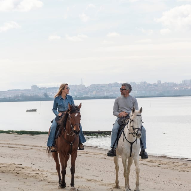 Beach Horseback Riding in GROUP + Photo Report - PDT - Meeting your horse before the beach