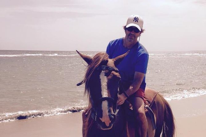 Beach Horseback Riding in Puerto Plata - From saddled horses to Bergantin Beach