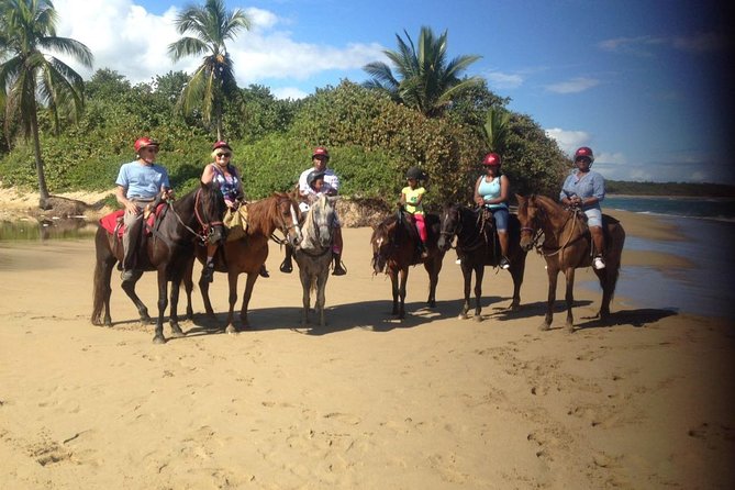 Beach Horseback Riding in Puerto Plata - Horses, helmets, water, and the swimming option