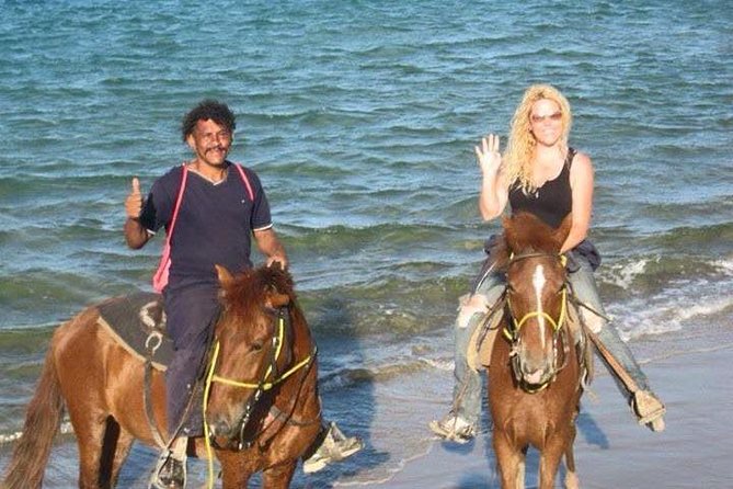 Beach Horseback Riding in Puerto Plata - Comfort, safety, and who should skip it