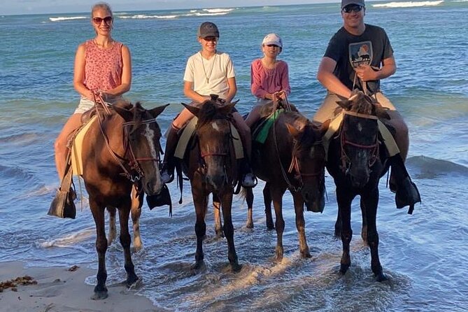 Beach Sunset Horseback Ride in Punta Cana - The beach ride and palm grove route