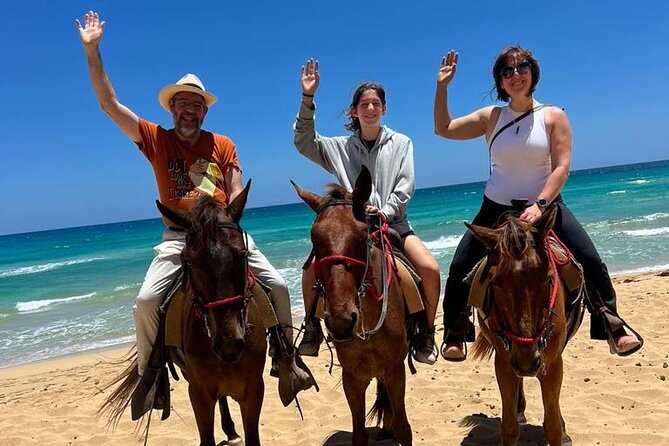 Beach Sunset Horseback Ride in Punta Cana - Meeting the horses and getting settled