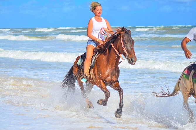 Beach Sunset on Horse Riding in Punta Cana(Private Option) - Key points to know before booking