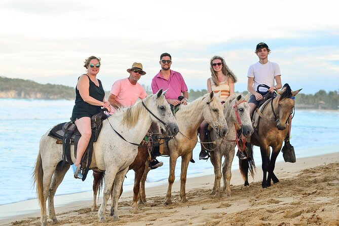 Beach Sunset on Horse Riding in Punta Cana(Private Option) - Meeting your horse and learning the basics