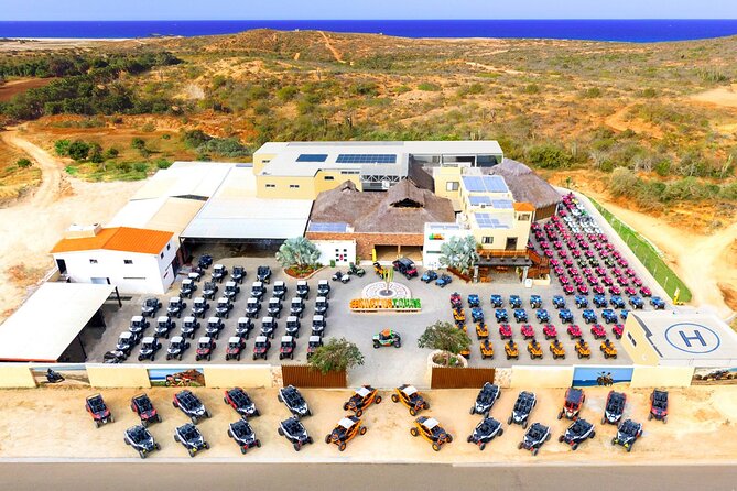 Beach UTV Adventure with Free Camel and Horseback Ride - Who will enjoy this Cabo outing most