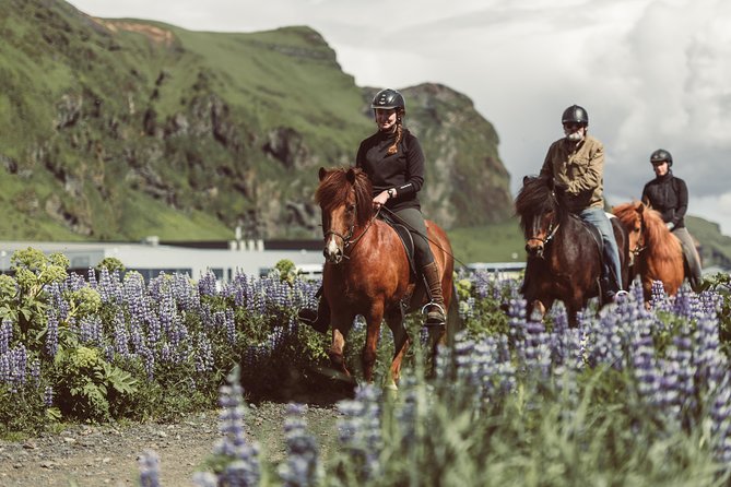 Black Sand Beach Horse Riding Tour from Vik - The best parts of this Vik horse ride