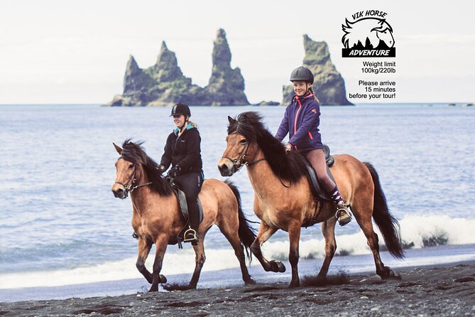 Black Sand Beach Horse Riding Tour from Vik - From the stable to Víkurfjara beach