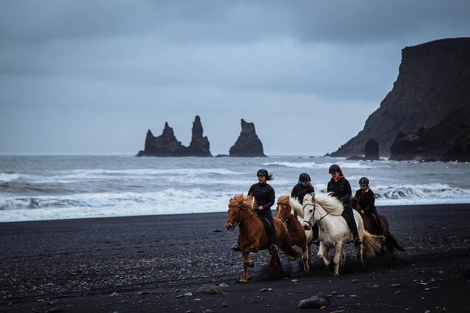 Black Sand Beach Horse Riding Tour from Vik - A beginner ride with a clear limit