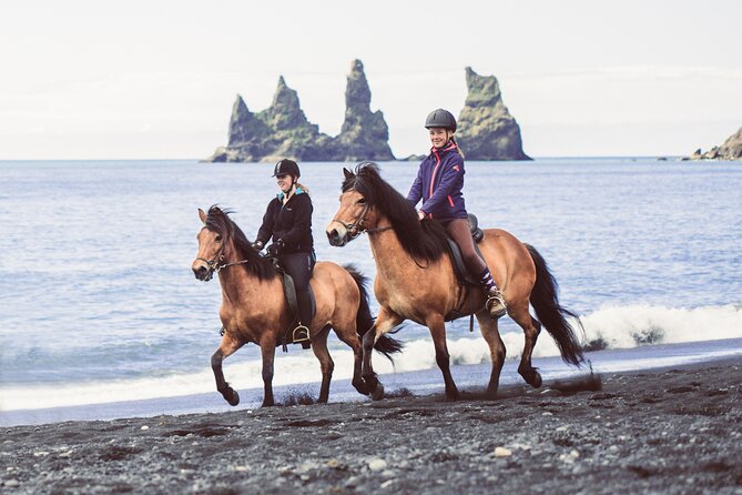 Black Sand Beach Horse Riding Tour from Vik - Is one hour long enough?