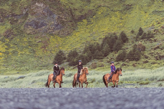 Black Sand Beach Horse Riding Tour from Vik - Price and what you get for $133.02
