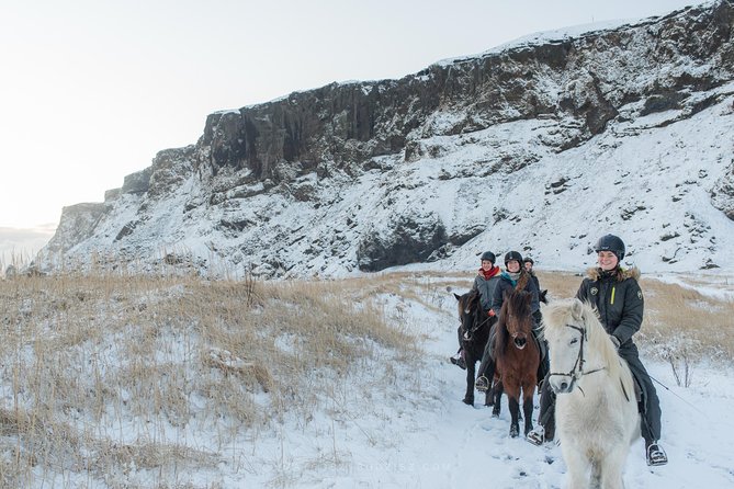 Black Sand Beach Horse Riding Tour from Vik - Who should book this experience?