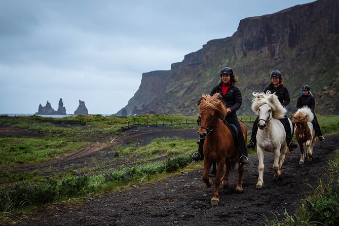 Black Sand Beach Horse Riding Tour from Vik - What makes the Icelandic horse special
