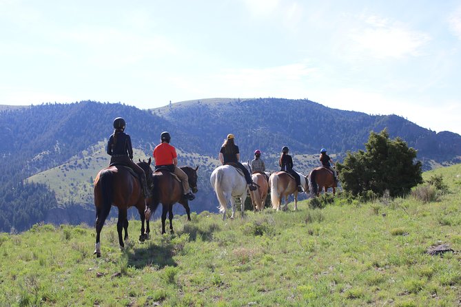 Blue Flower Trail Ride - Key points to know before you ride