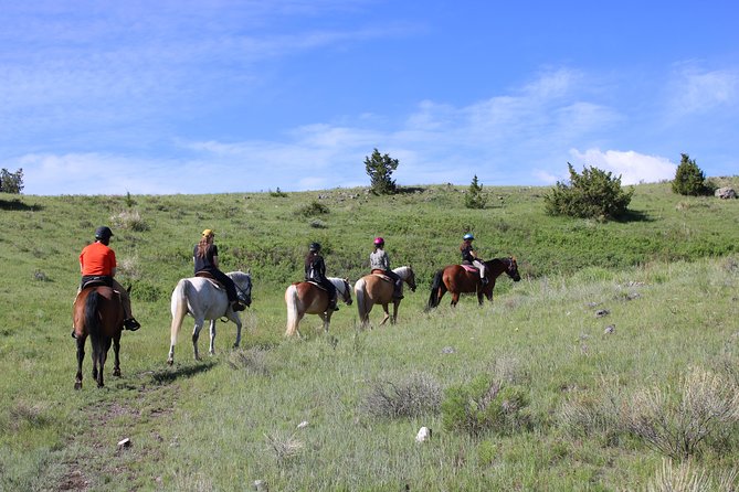 Blue Flower Trail Ride - Why the private format matters