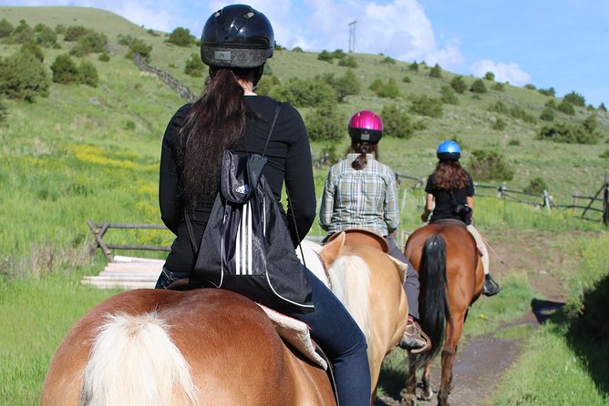 Blue Flower Trail Ride - Getting settled with your horse