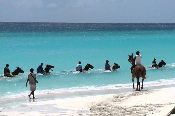 Blue Hole and Horseback Riding and Shopping - Horseback riding through the Jamaican countryside