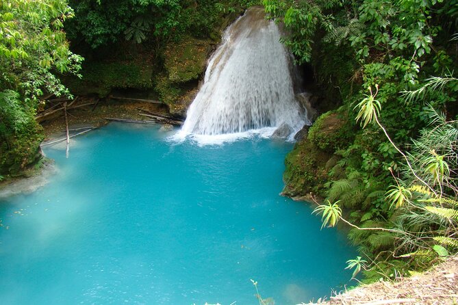 Blue Hole Falls& Horseback Riding Tour Ocho Rios from Montego Bay - Who should book this tour?