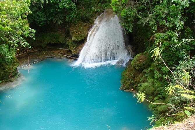 Blue Hole Falls with Horseback Ride Adventure from Montego Bay - Who should book this experience?