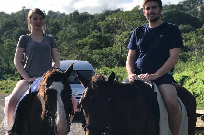 Blue hole waterfalls + horseback riding from Montego bay - Key points at a glance
