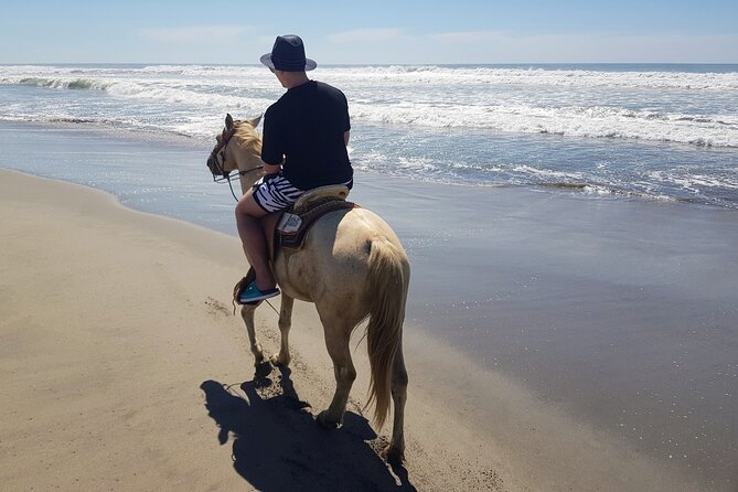 Boat Ride-Gentle Beach Beach Horseback Ride+Lunch-Crocs-Turtles - Key points to know before booking