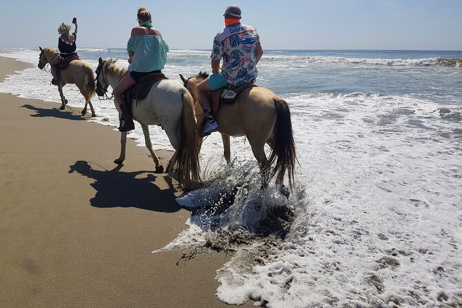 Boat Ride-Gentle Beach Beach Horseback Ride+Lunch-Crocs-Turtles - The beach ride: simple, scenic, and best for the right expectations