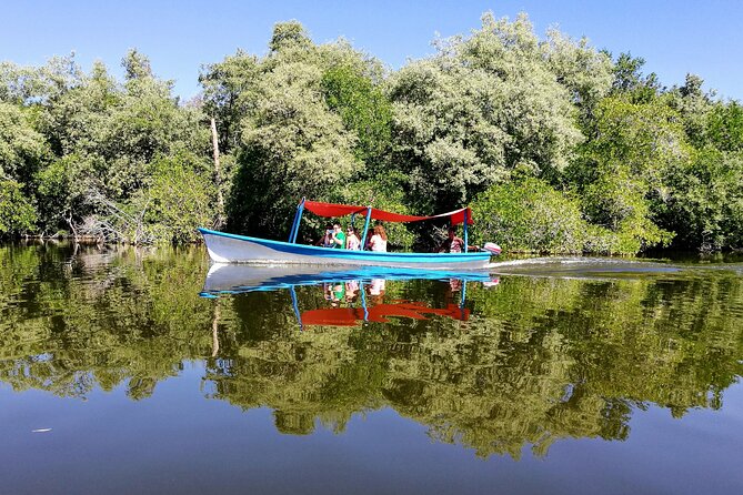 Boat Ride-Gentle Beach Beach Horseback Ride+Lunch-Crocs-Turtles - One hour on the lagoon shoreline