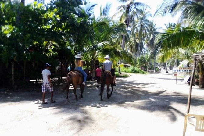 Boat Ride-Gentle Beach Beach Horseback Ride+Lunch-Crocs-Turtles - Crocodiles and turtles add a useful wildlife lesson