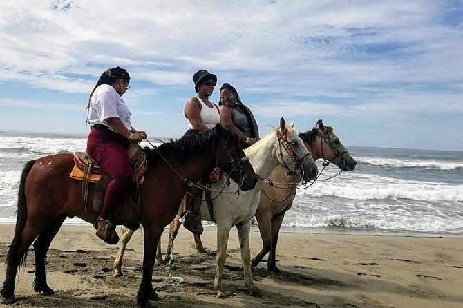 Boat Ride-Gentle Beach Beach Horseback Ride+Lunch-Crocs-Turtles - Why the guide can shape the whole day