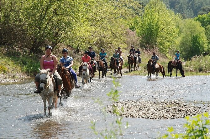 Bodrum Horse Riding Experience w/ Hotel Transfer Service - What the basic lesson covers