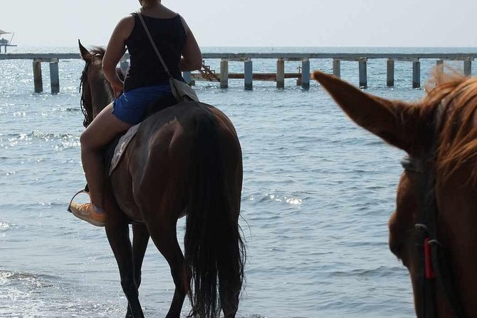 Bodrum Horseback Riding Experience with Hotel Transfer - Guides, communication, and safety