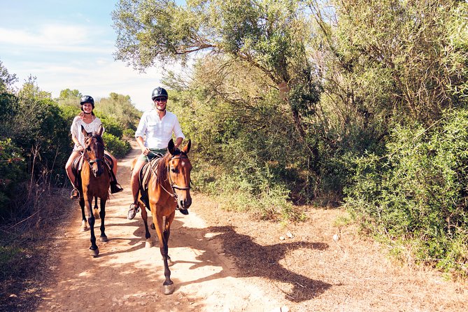 Bodrum Horseback Riding Experience with Hotel Transfer - Price and overall value at $78.44