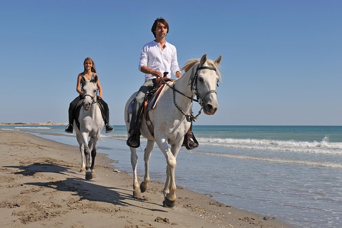 Bodrum: Horseback Riding Experience with Hotel Transfer - A calm start for first-time riders