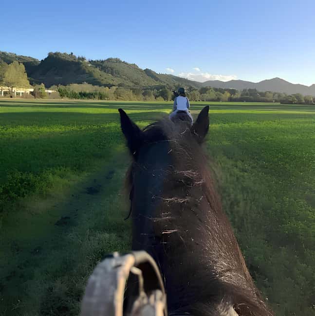 Bologna: Horseback Ride in the Bolognese Hills - Palazzo de’ Rossi and the historic Via degli Dei