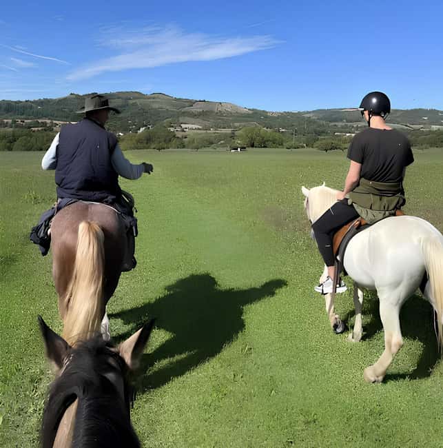 Bologna: Horseback Ride in the Bolognese Hills - Practical advice for a smoother ride